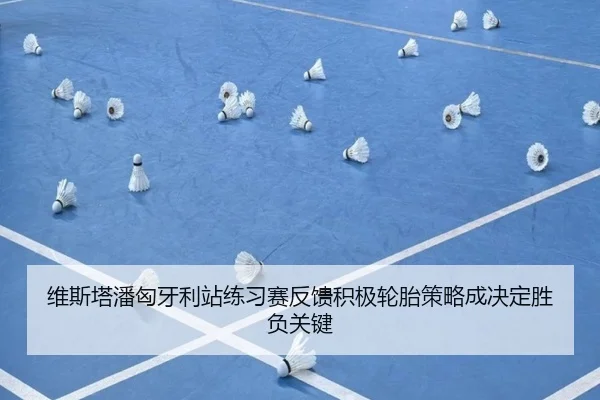 维斯塔潘匈牙利站练习赛反馈积极轮胎策略成决定胜负关键